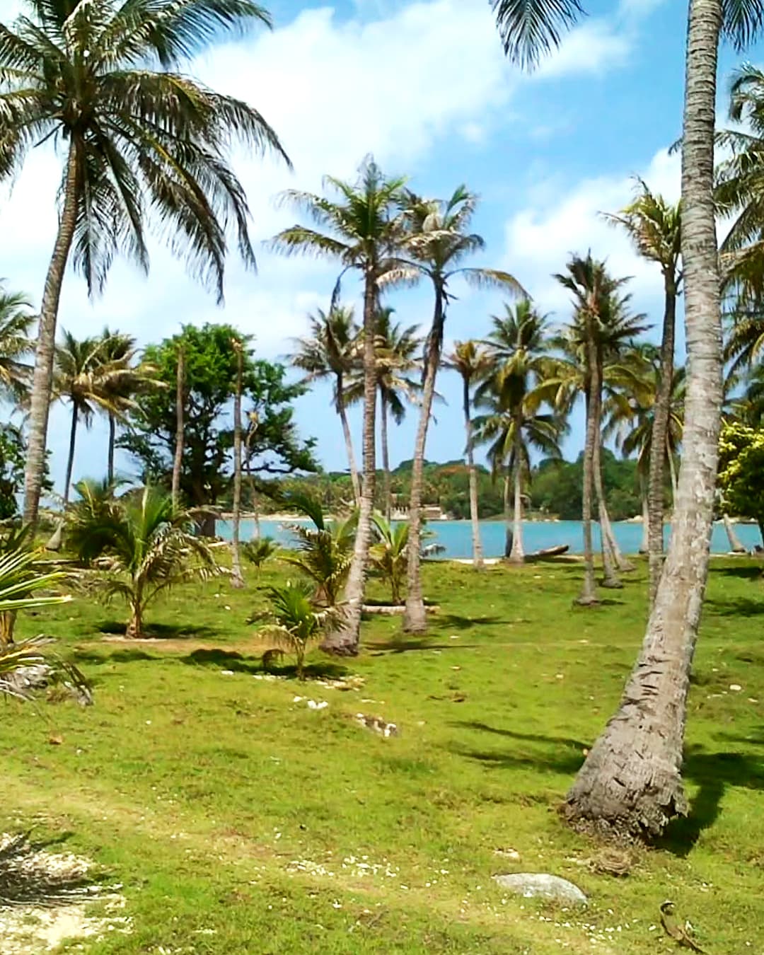 Habitación Familiar 6